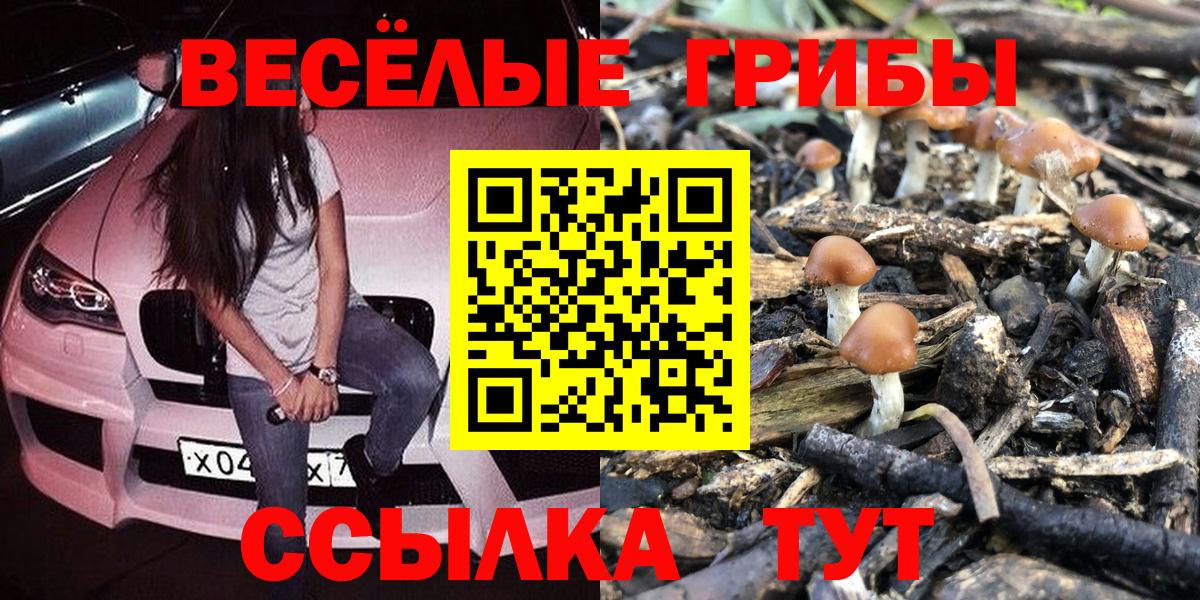 Галлюциногенные грибы Magic Shrooms  Вход с VPN  Калач-на-Дону 